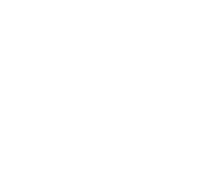 Thinking and Memory