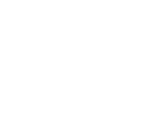 Writing Basics