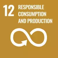 12 responsible consumption and production 