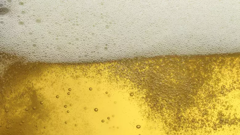Brewing and Brewery Operations